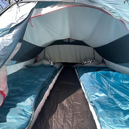 The Esn Kingsday Campsite Амстердам Екстериор снимка